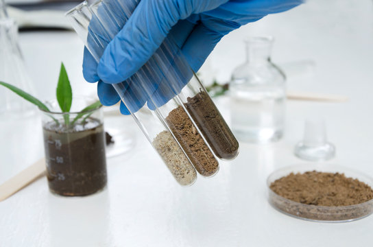 Why Soil Testing is Non-Negotiable for Your Chennai Home